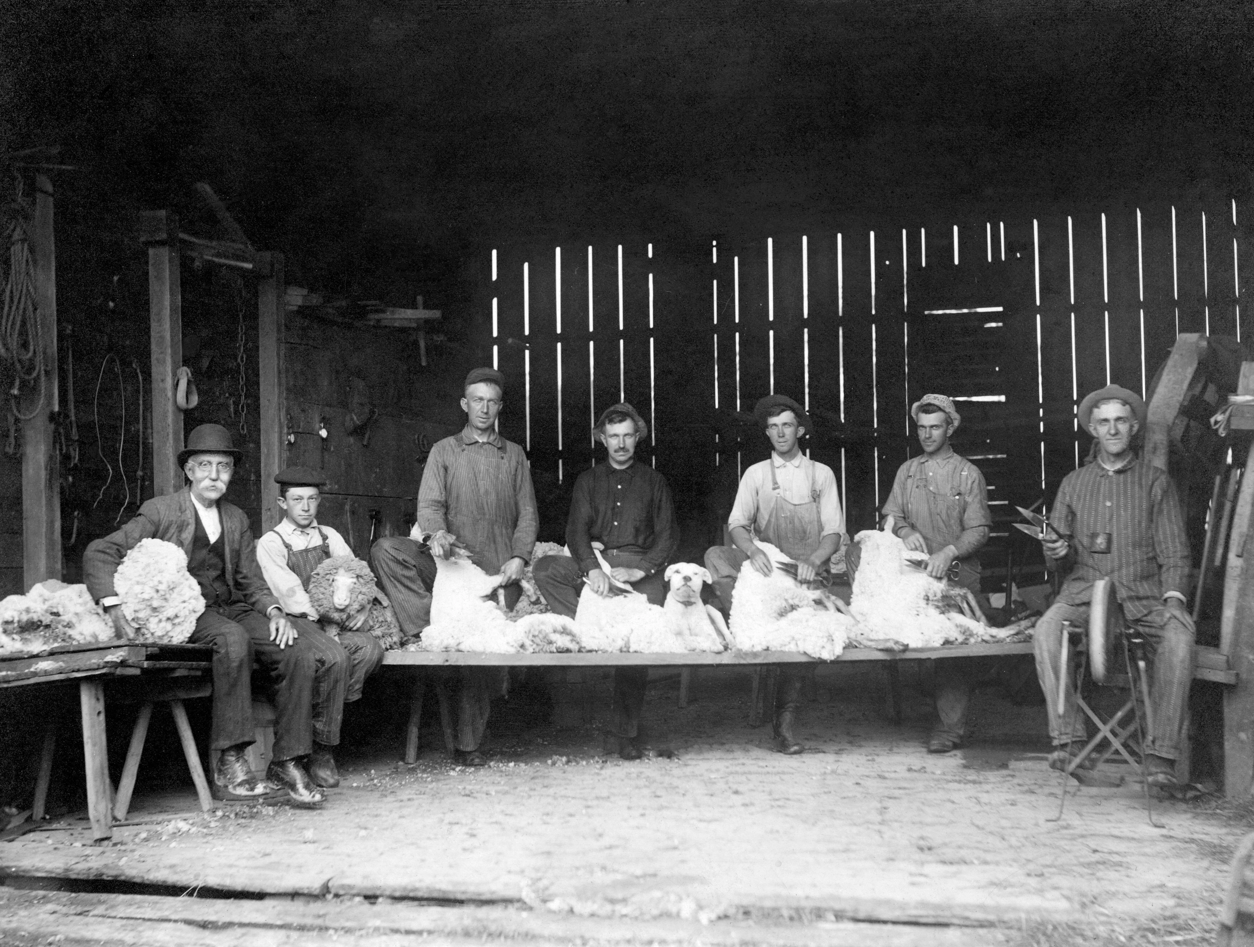 Tuscarawas County Memories: A Pictorial History of the mid-1800s through the 1930s - Image 10