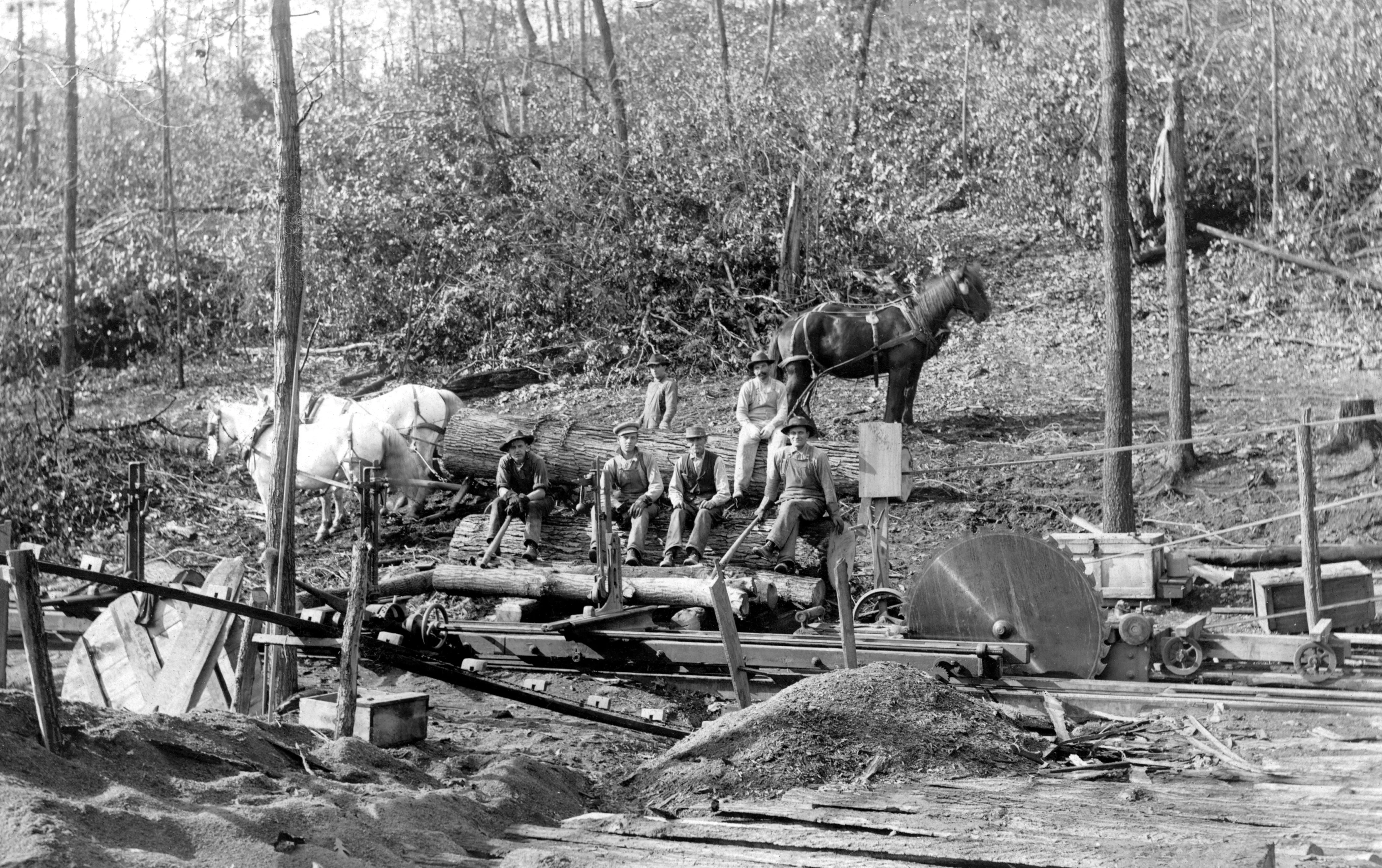 Tuscarawas County Memories: A Pictorial History of the mid-1800s through the 1930s - Image 17