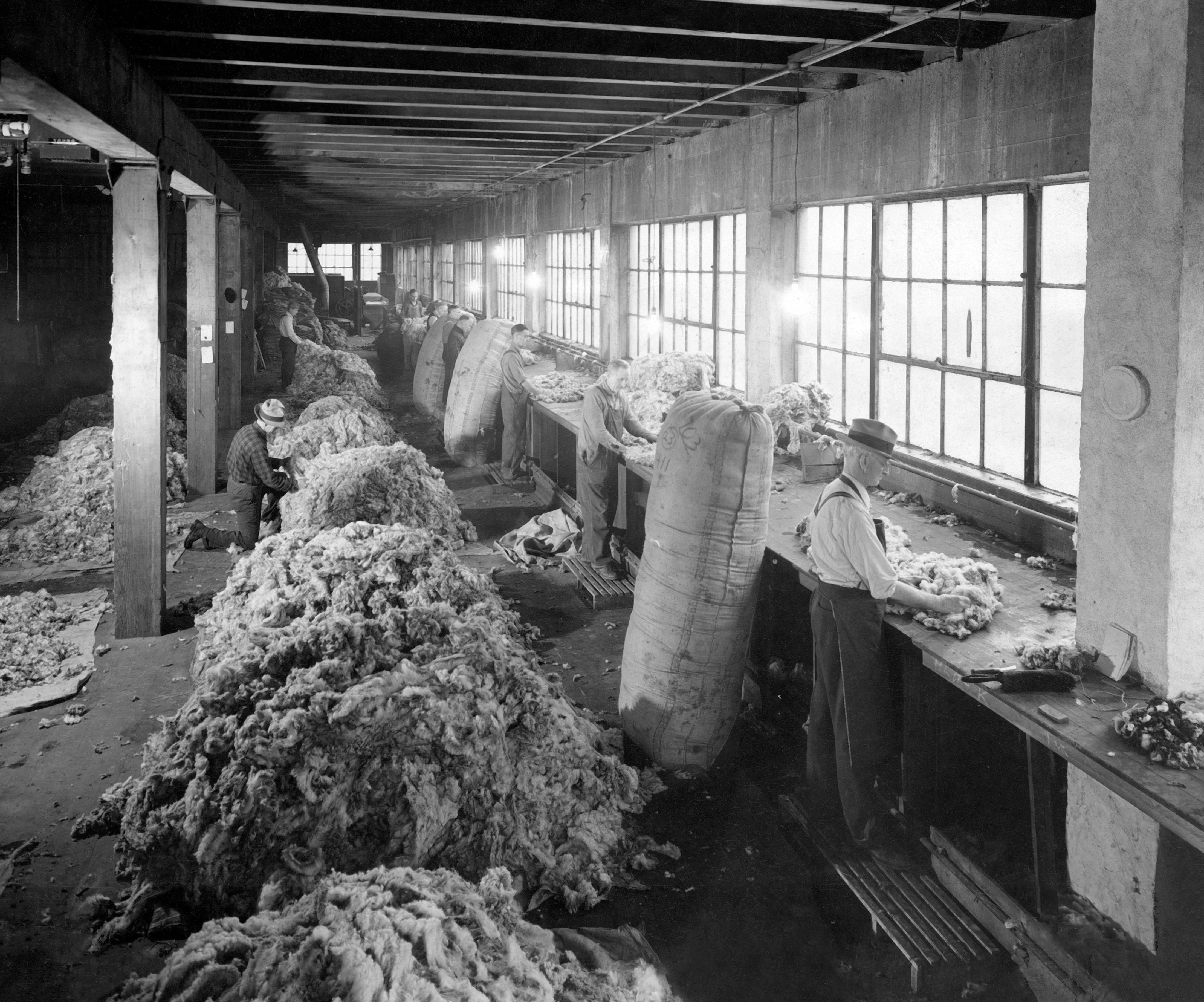 Umatilla County Memories: A Pictorial History of the mid-1800s through 1939 - Image 11