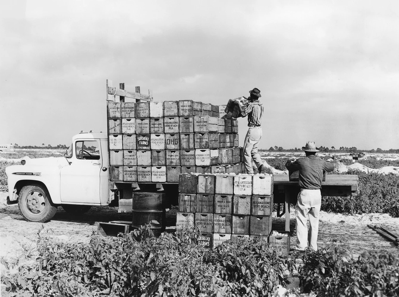 Vero Beach Memories: A Photo Retrospective of Vero Beach and Indian River County - Image 10