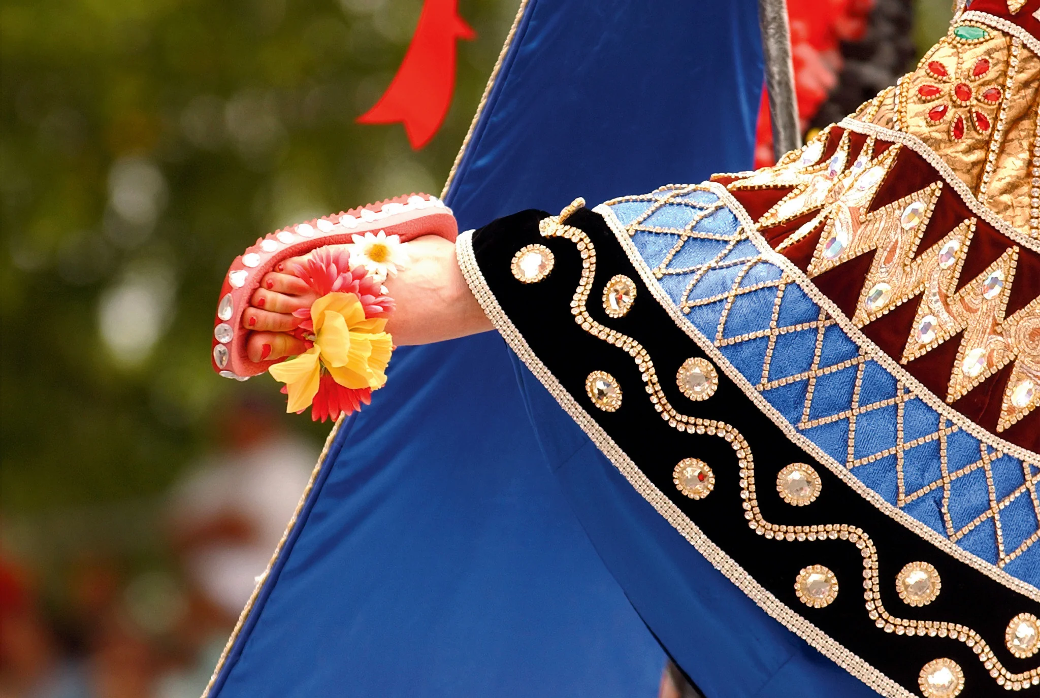 Viva! Fiesta - Image 2