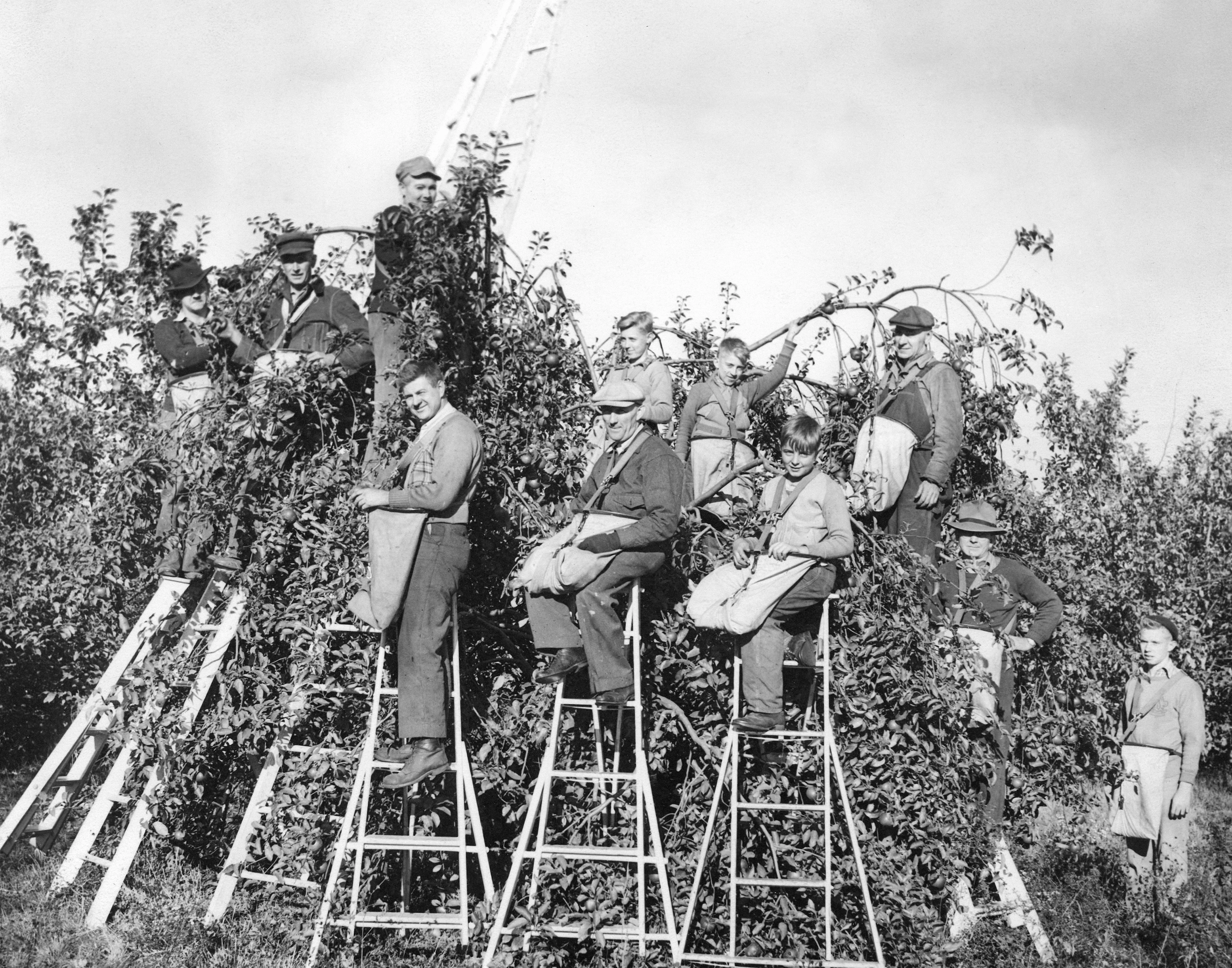 Wayne County Memories II: A Pictorial History of the 1940s, 1950s and 1960s - Image 14