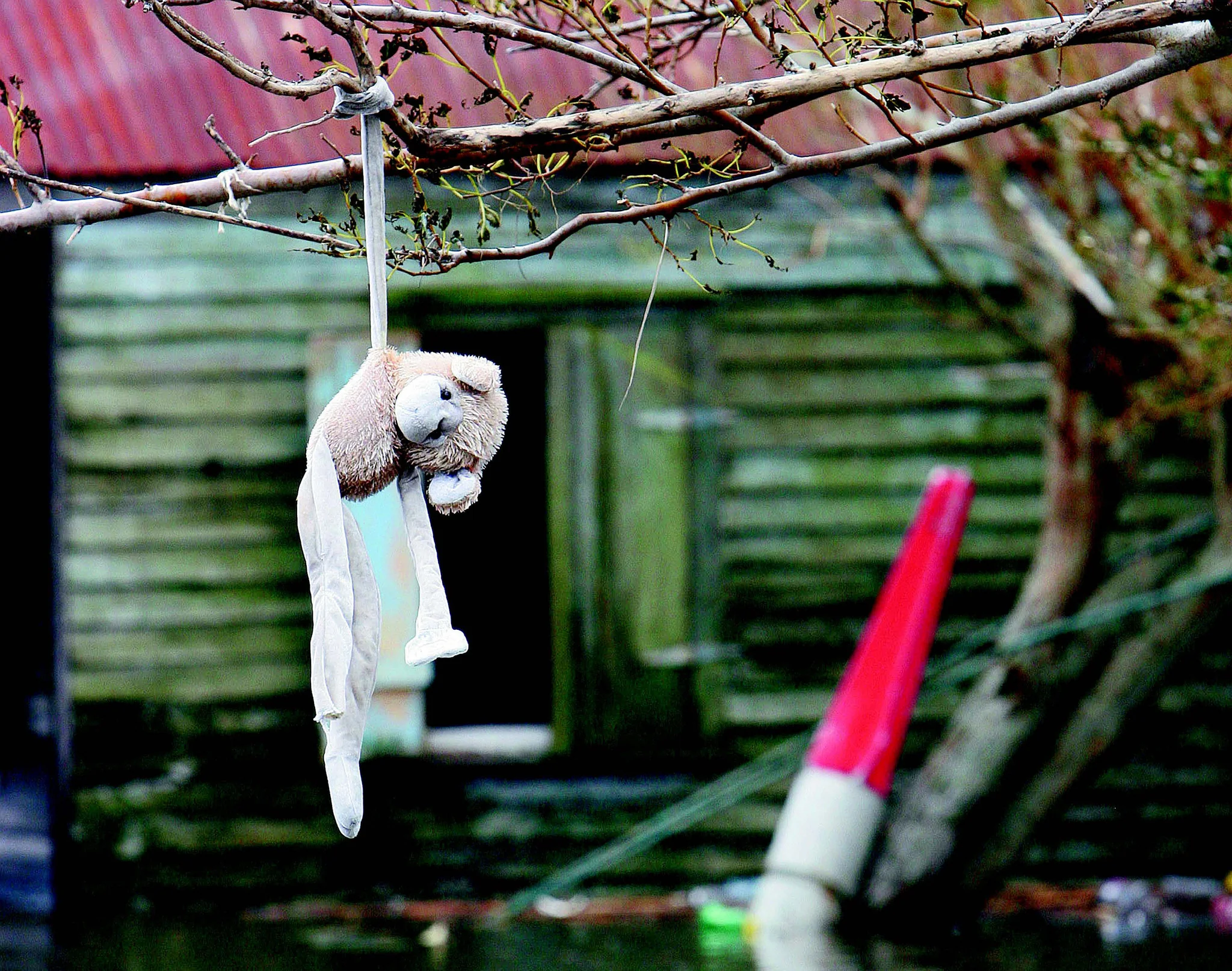 Wind & Water: Hurricanes Gustav and Ike Slam Bayou Communities - Image 10