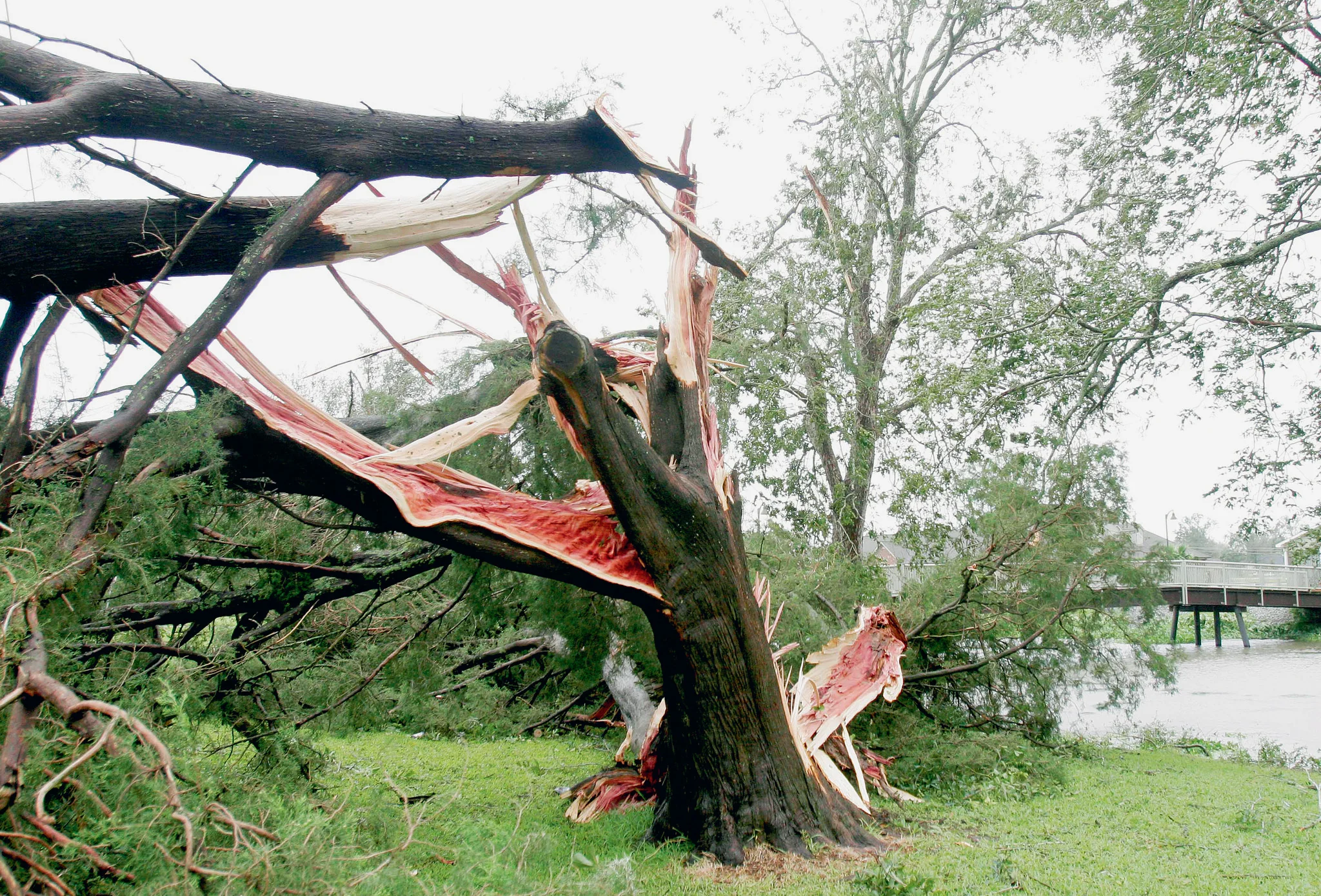Wind & Water: Hurricanes Gustav and Ike Slam Bayou Communities - Image 5