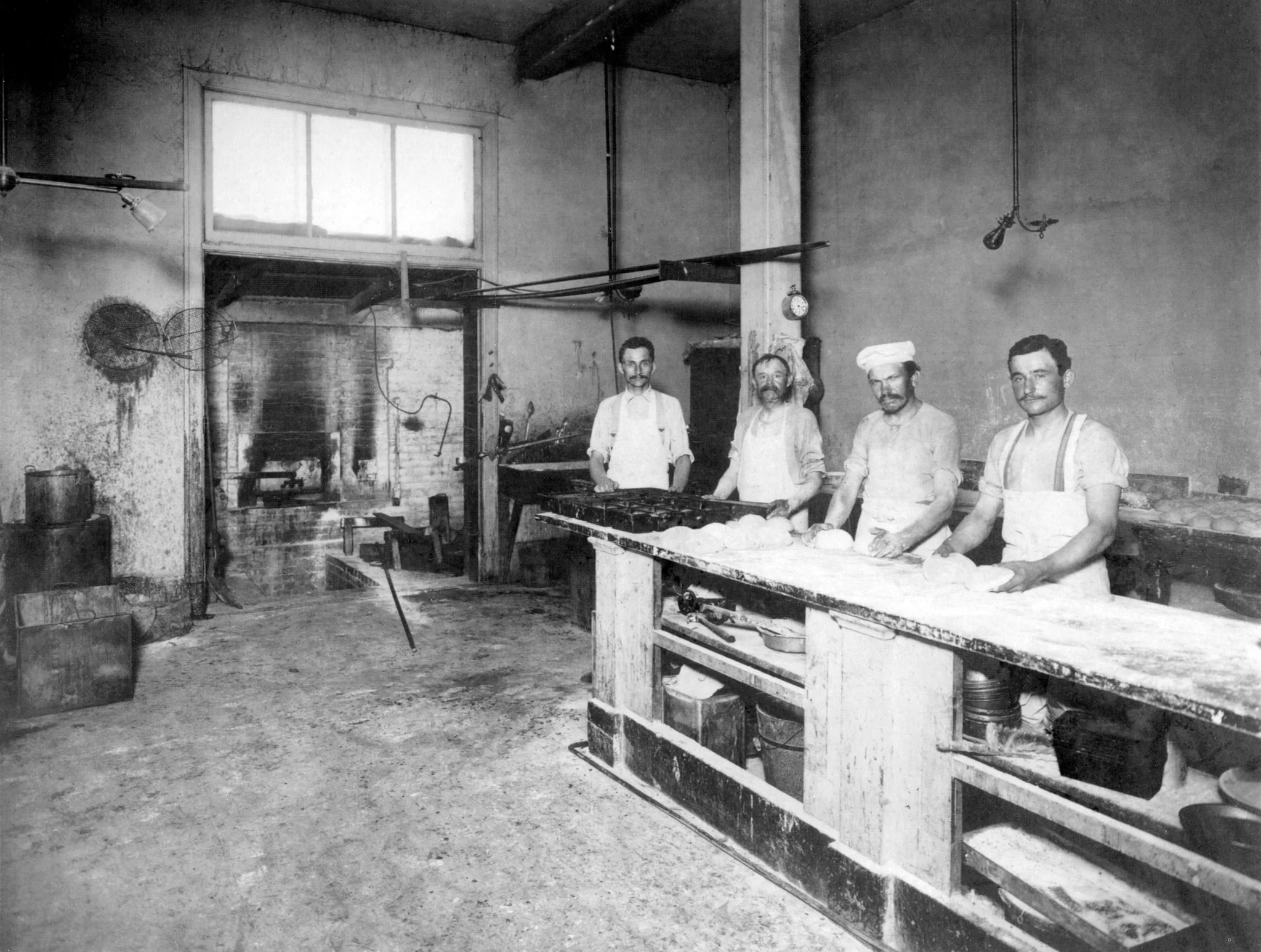 Woodland Memories: The Early Years - Image 5