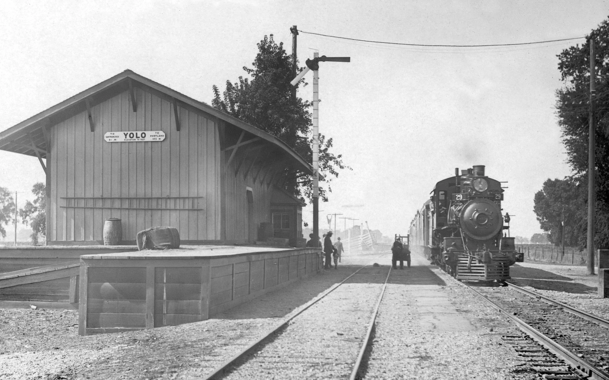 Woodland Memories: The Early Years - Image 9