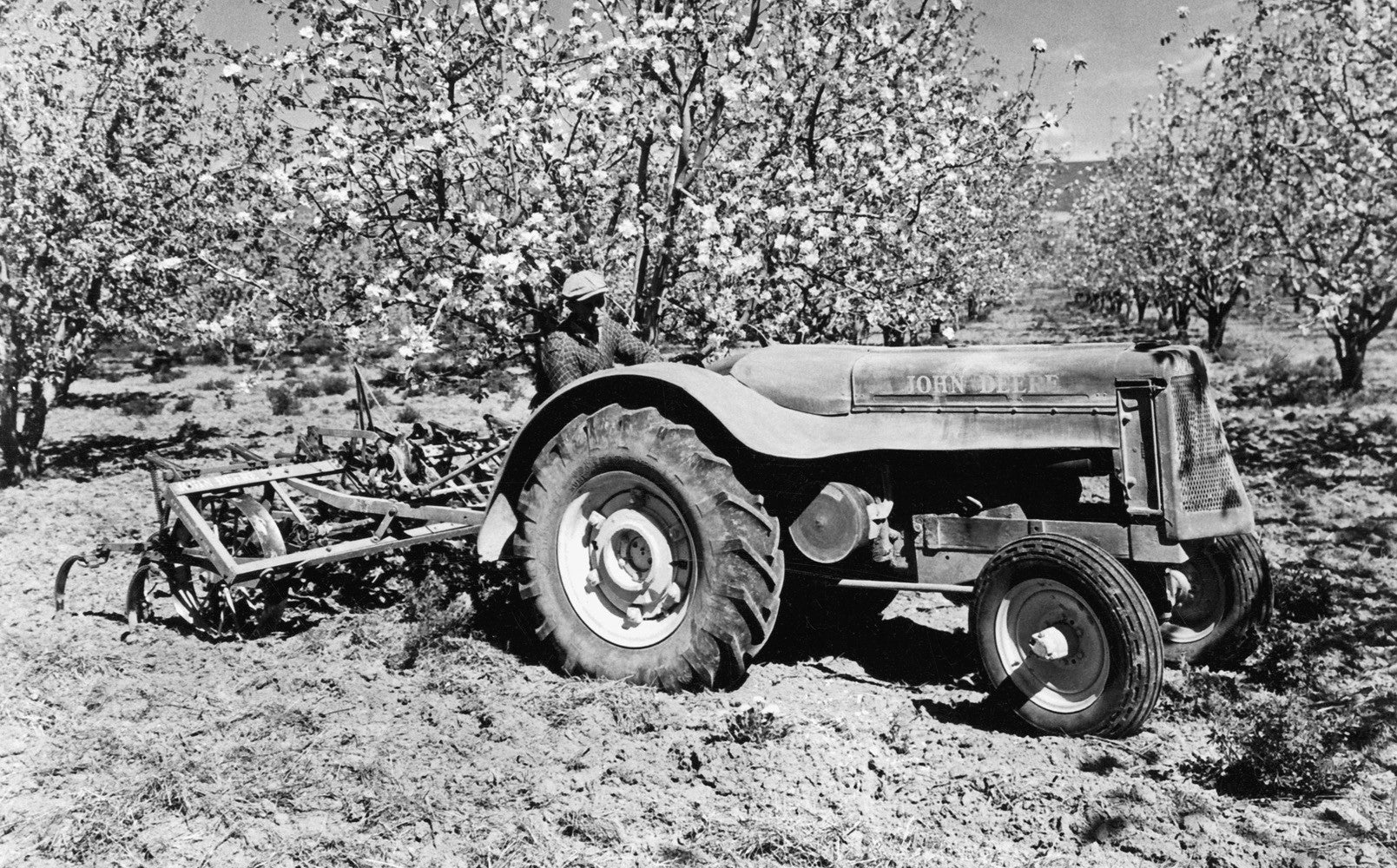 Our Valley: The Yakima Valley: Through the Eyes of the Yakima Herald-Republic and its Readers - Image 2